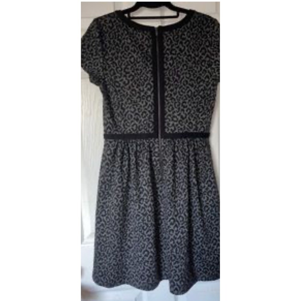 LOFT Leopard Black  Dress. ‎ Size 6